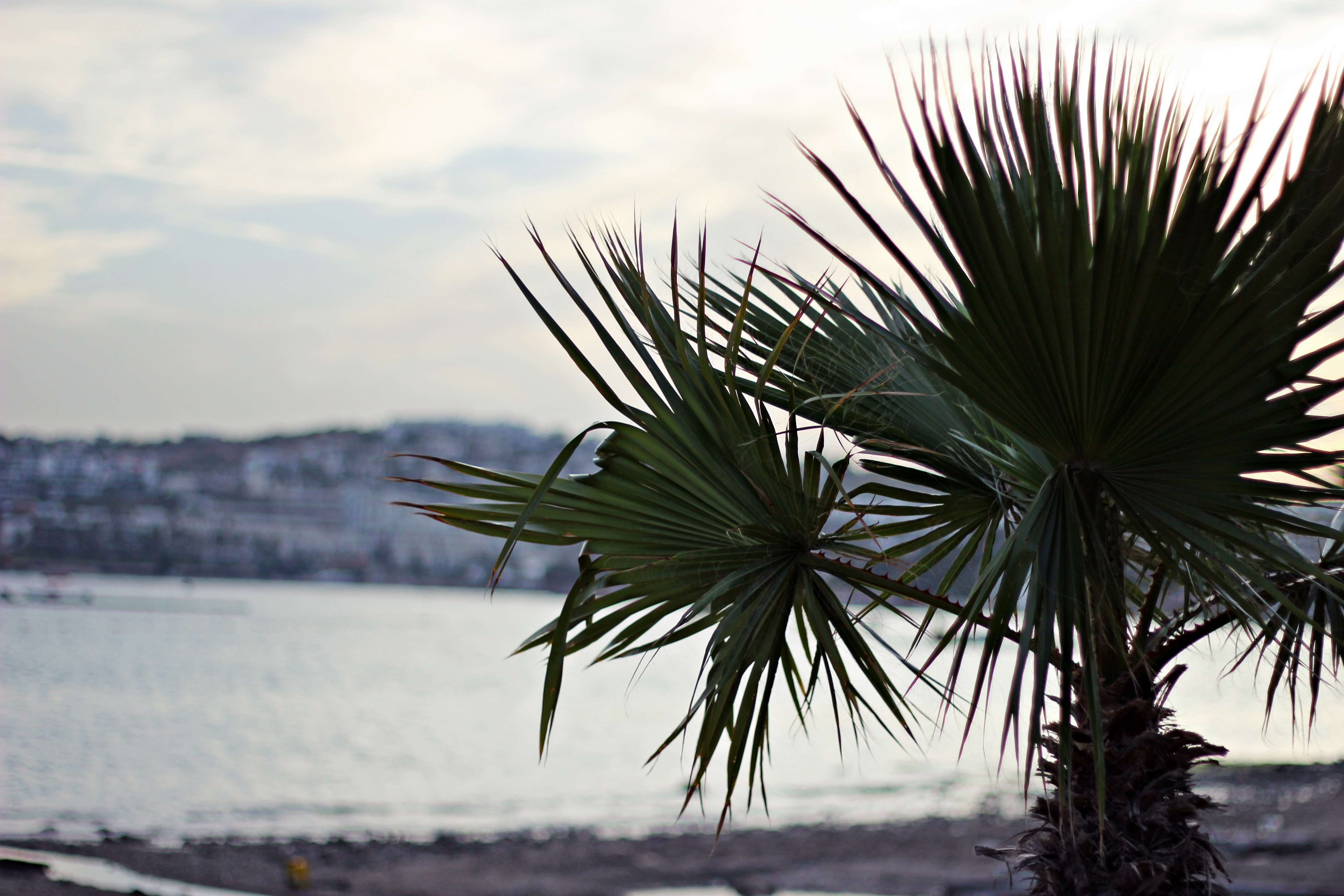 Gümbet przed sezonem